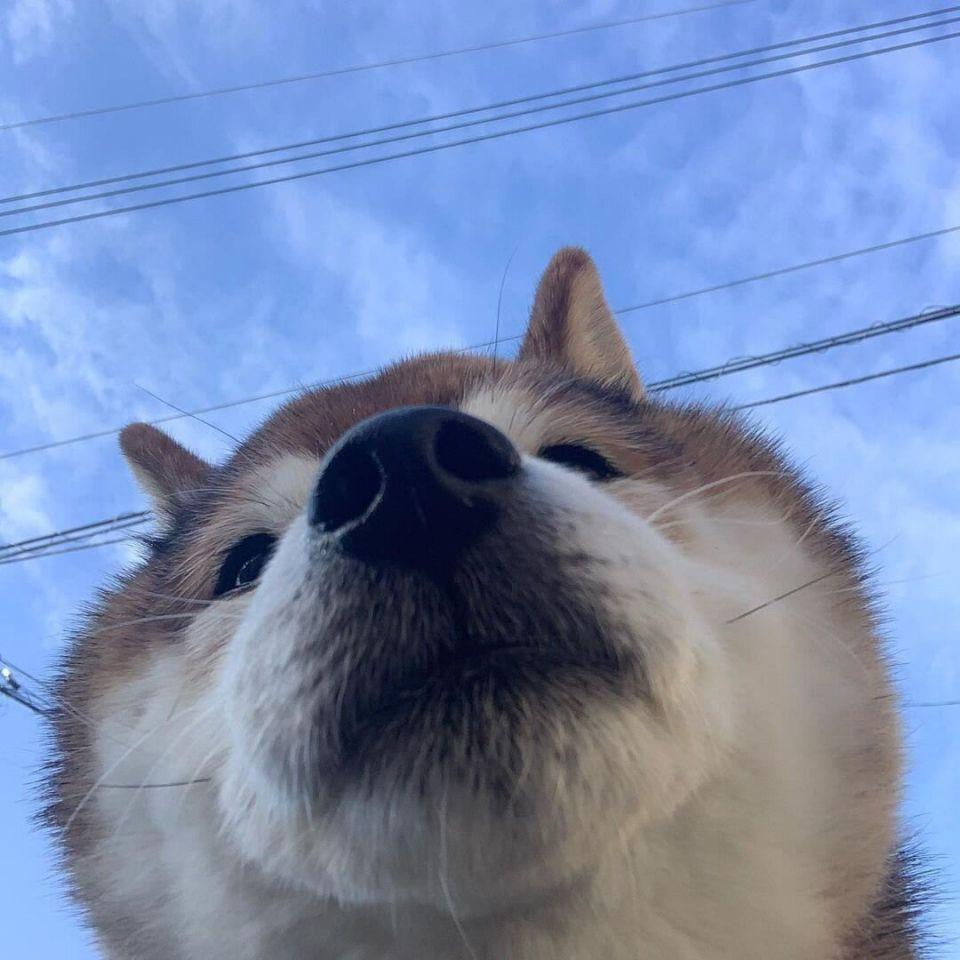 葉-