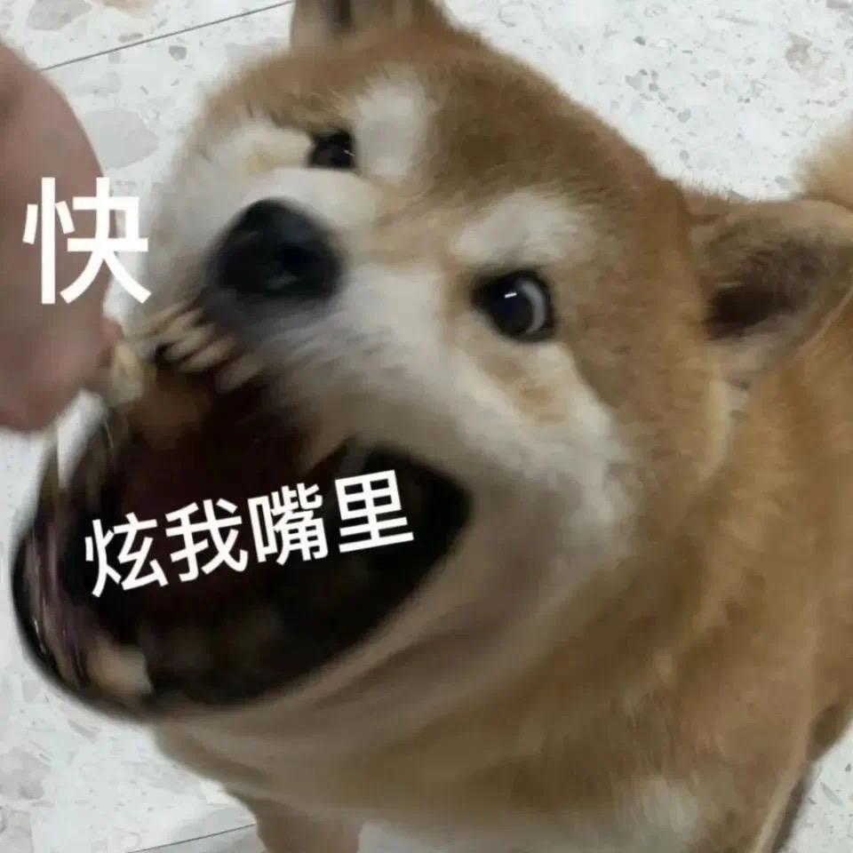 只对男人摇尾巴