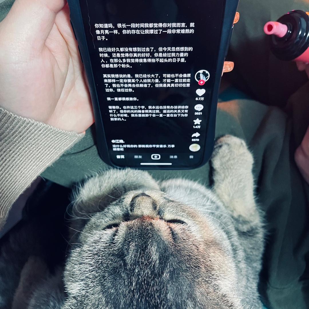 那些花儿