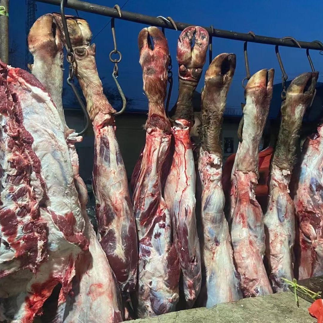 安徽淮北牛肉厂