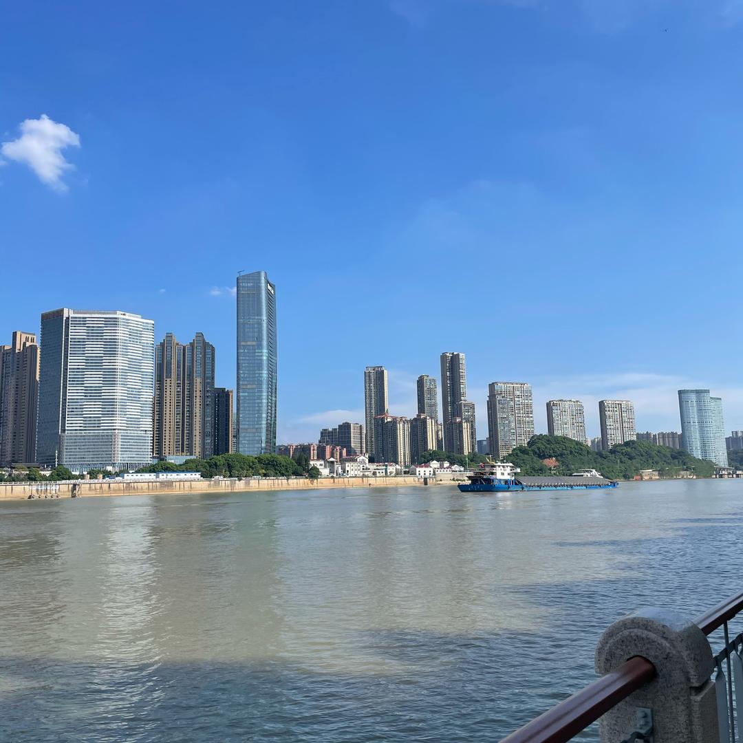 茵茵的日常