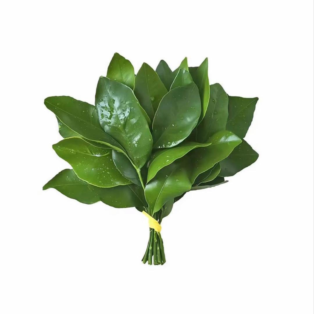 王嗯好