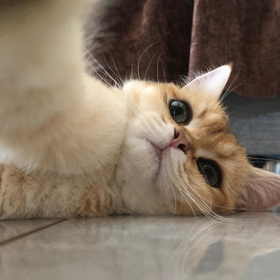 依旧