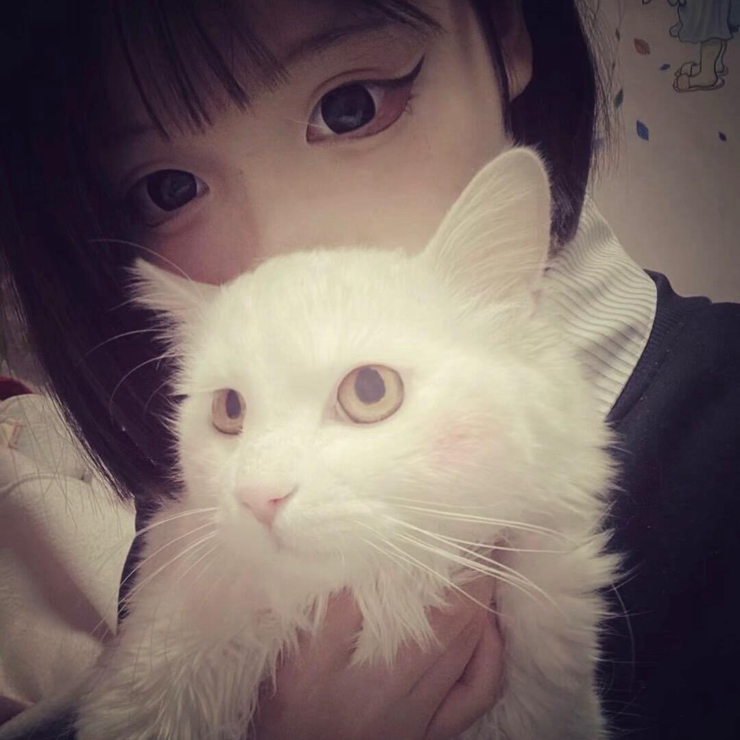 情緖𝙤碎💤