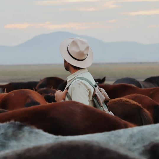 T先生的旅行笔记
