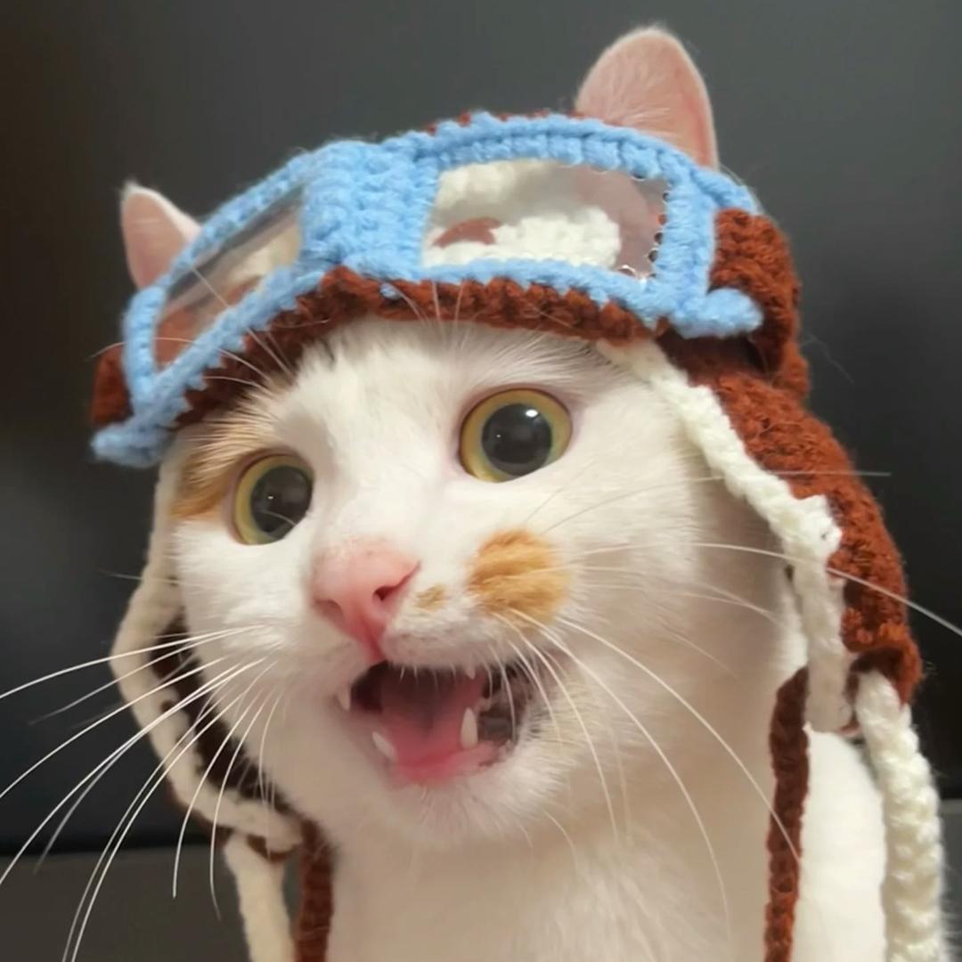 威化饼（第五人格）