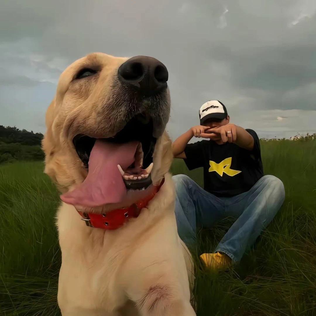 不吃花菜🇨🇳