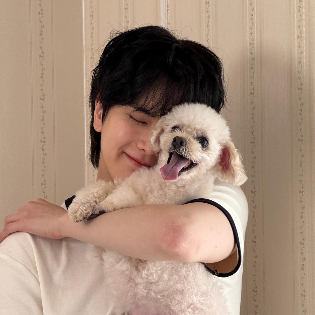 베키_0hoony