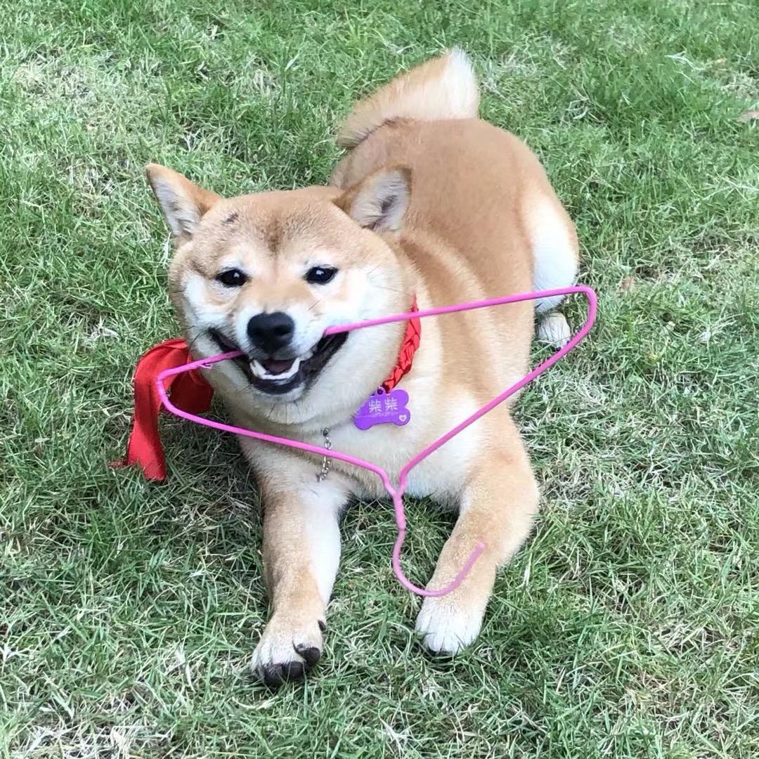 柴娃子