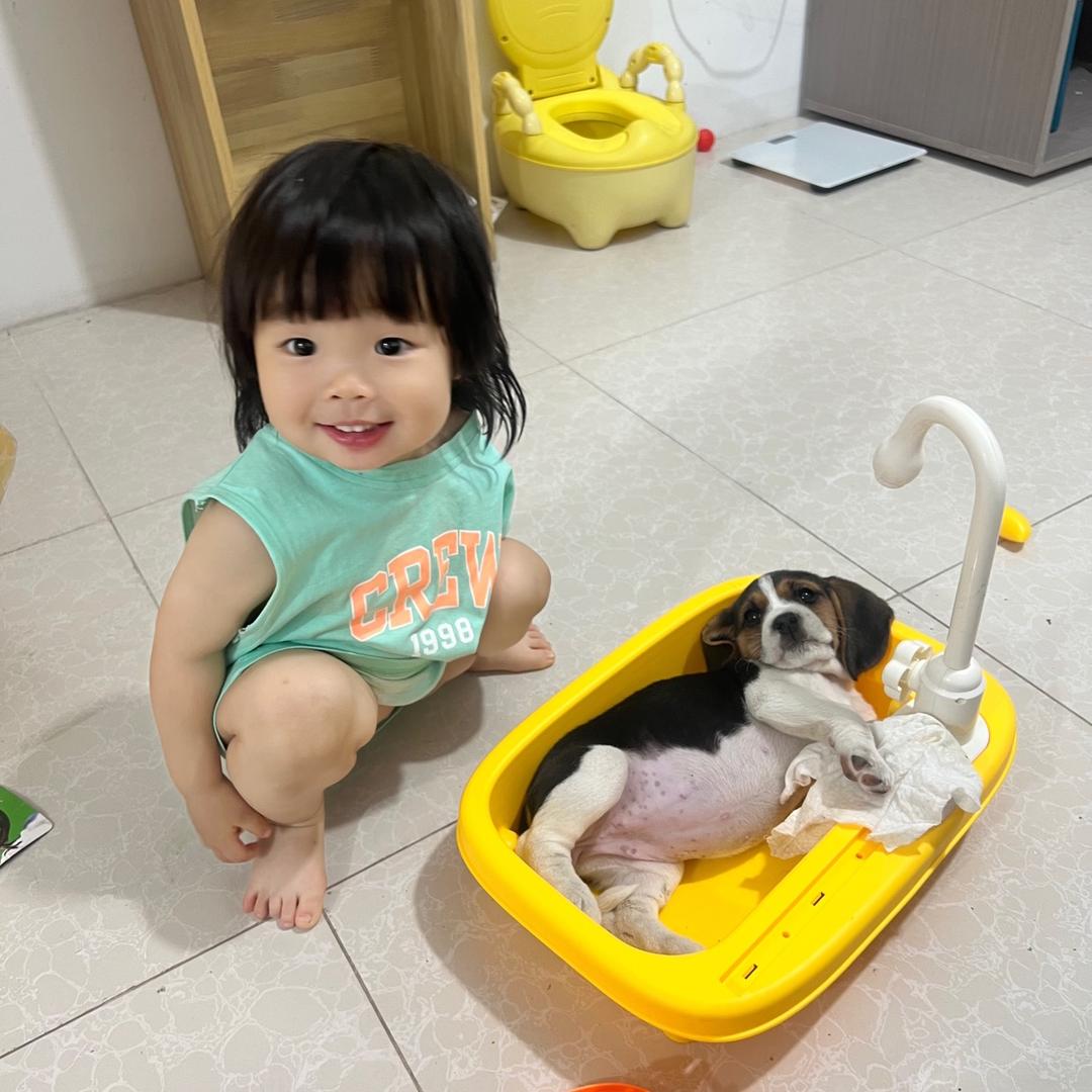 设计发光的家