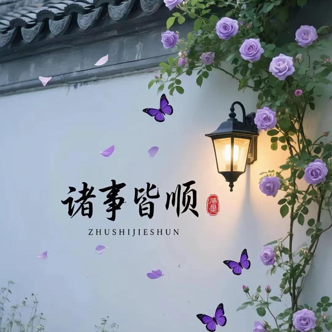 新新