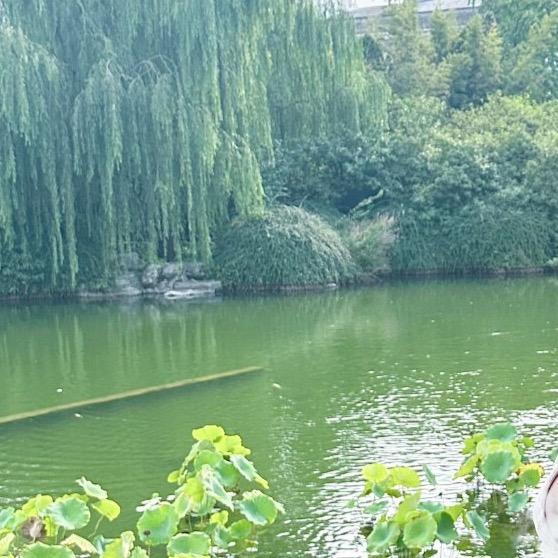 优质好物臻选