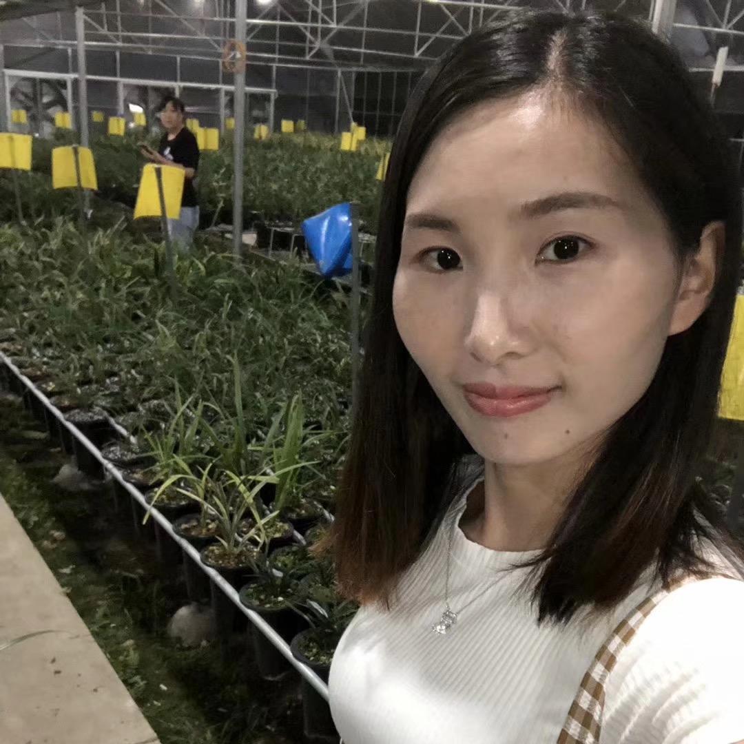 清雅兰园(十二年国兰基地)