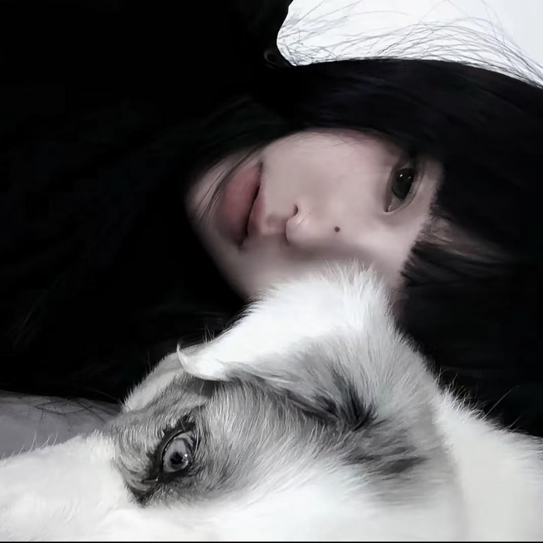 ㅤ ㅤ ㅤ ㅤ