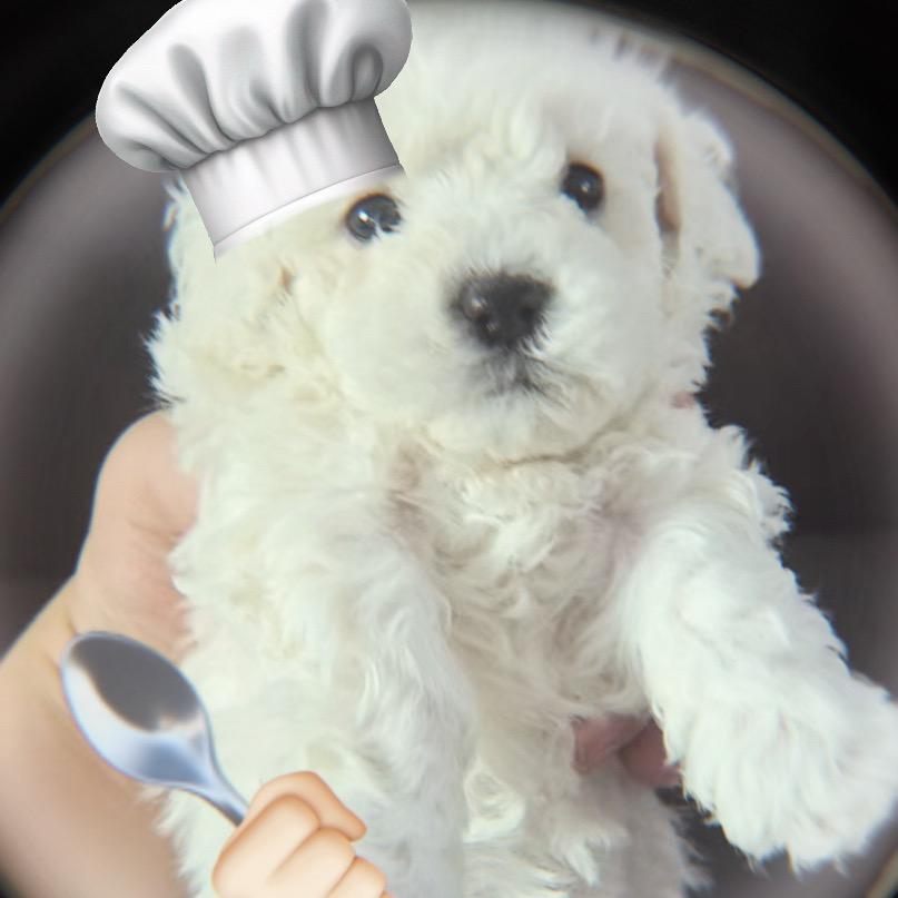 果汁是只比熊吖