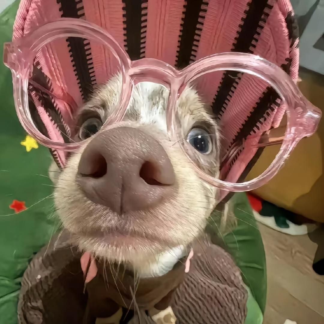 小朋友.🌈