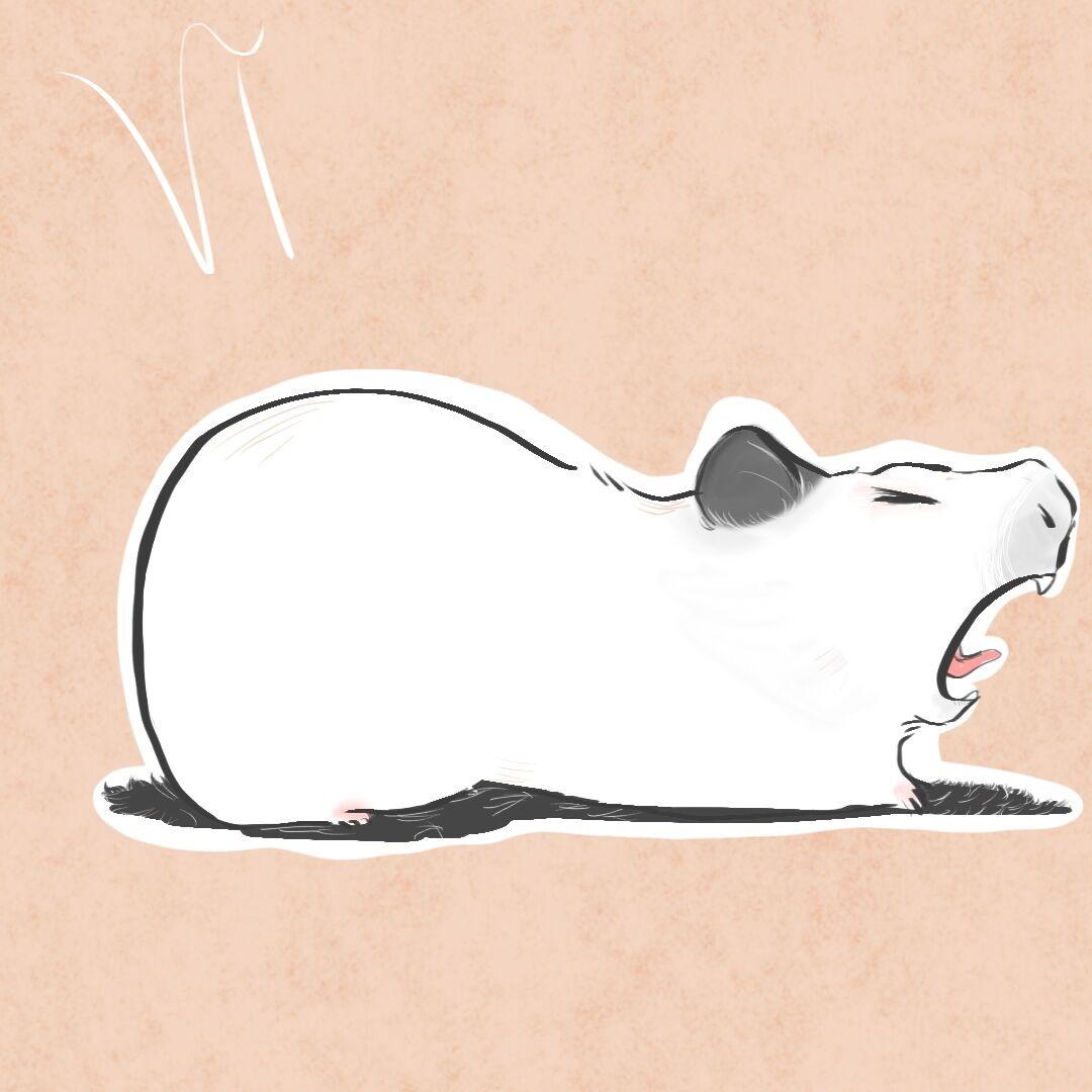 王以安