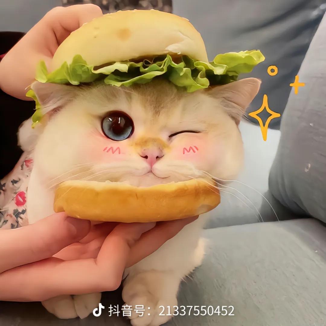 念念的玩偶店