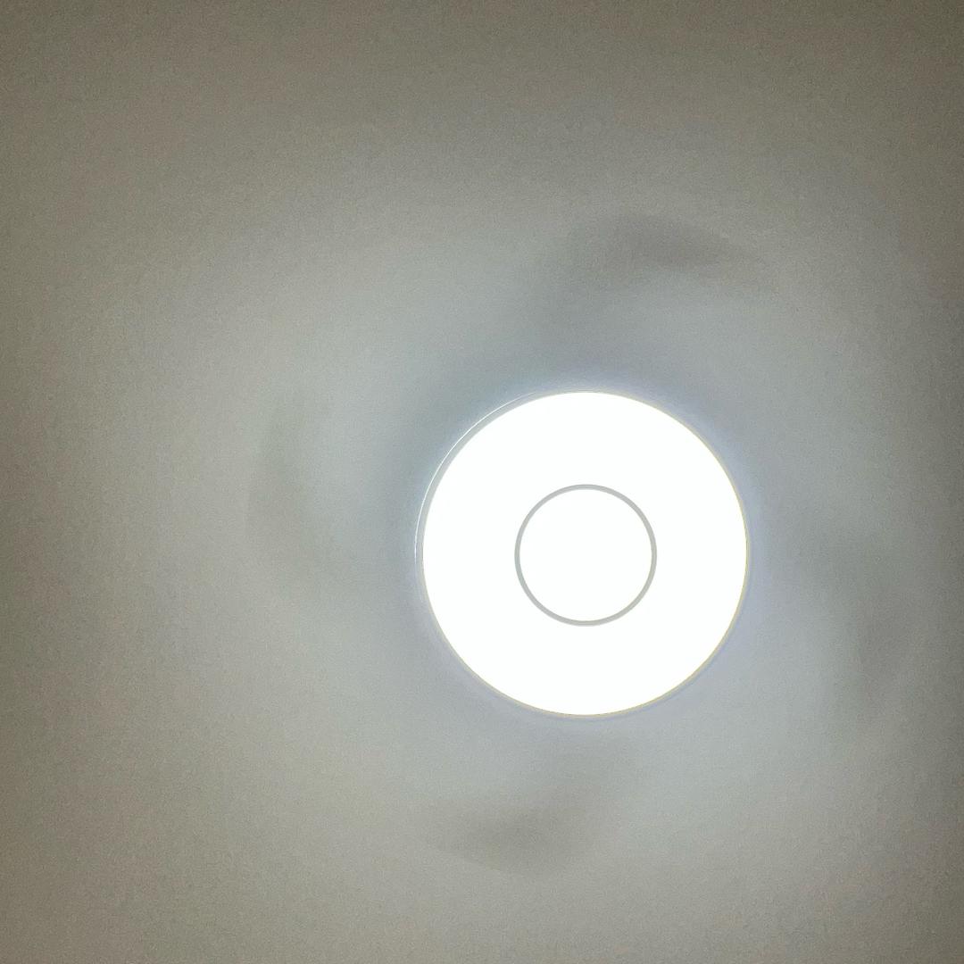 赞嗨.运营雁子