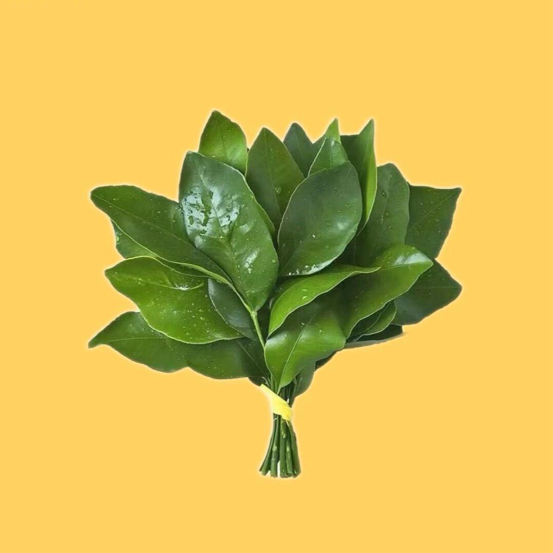 请叫我富婆
