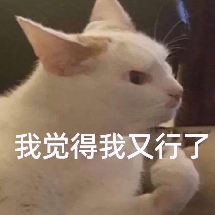 橙子的暴走小荞麦