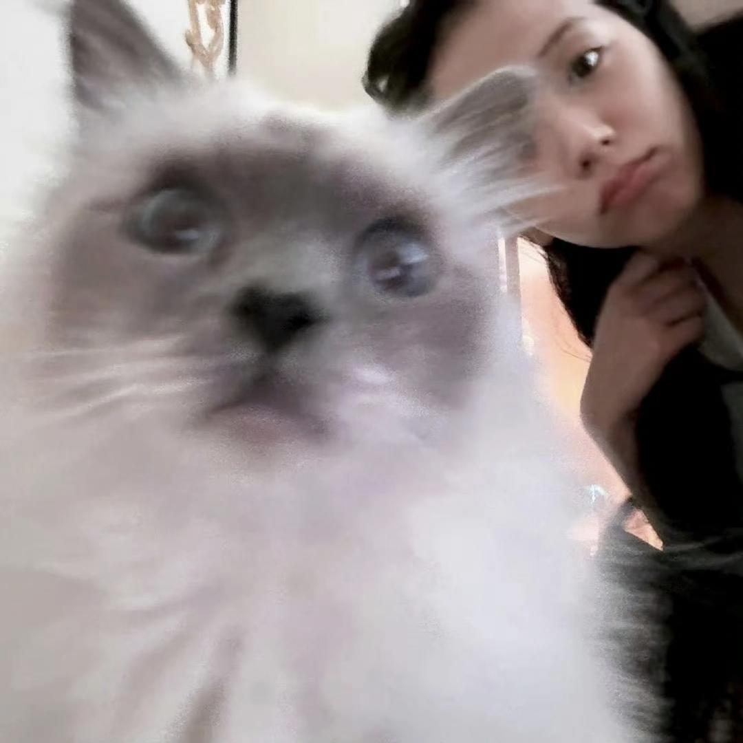 Dor