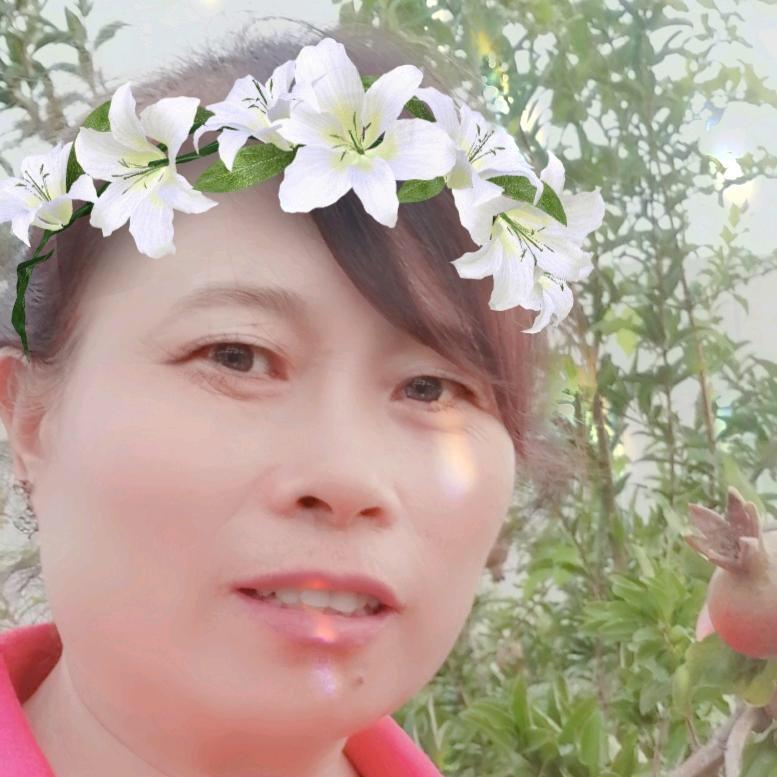 胡凤琴
