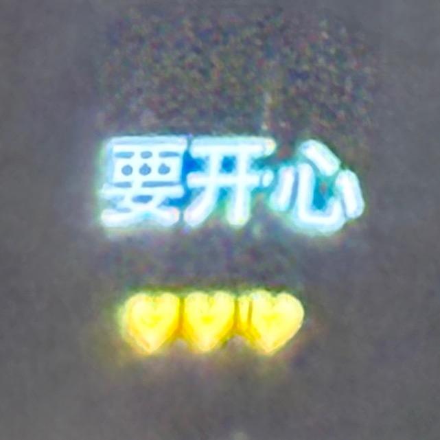 鹿玫芯（成都有票版）