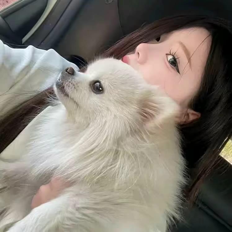 好运咸蛋黄