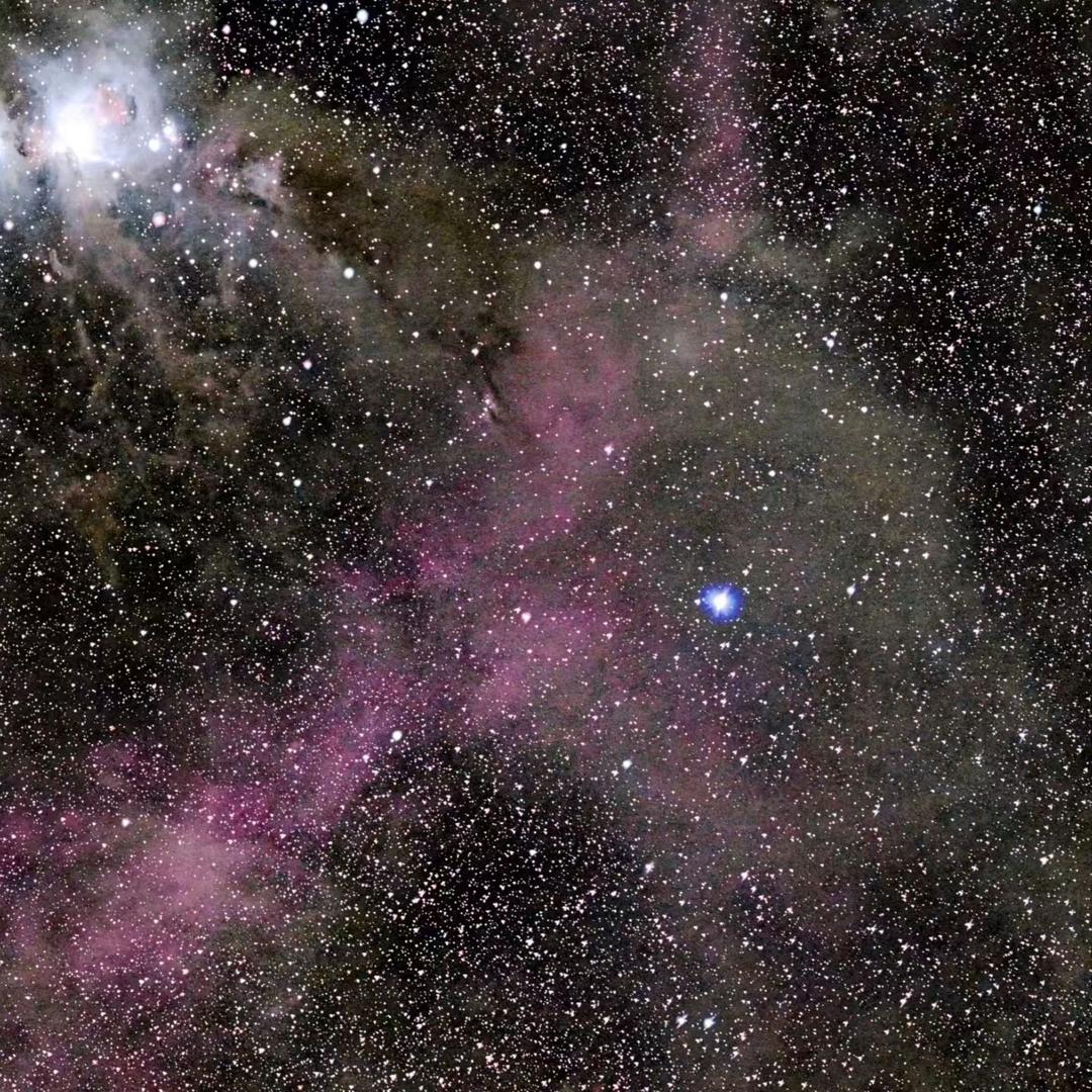 評論發掘者（派大星）