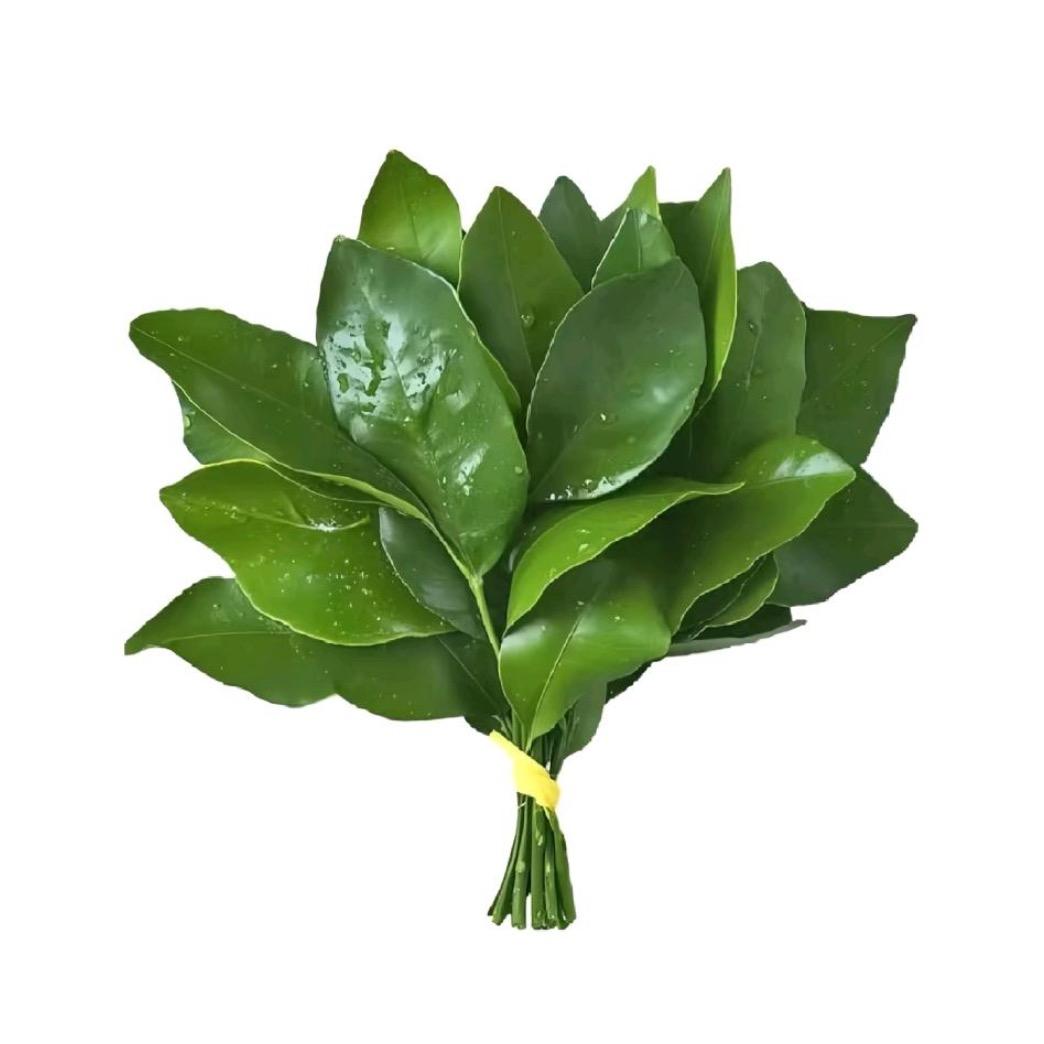 7an