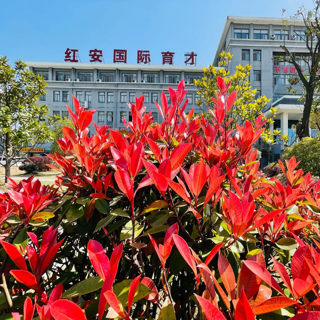 红安国育