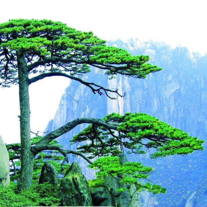 岳阳双滤渔业机械制造有限公司