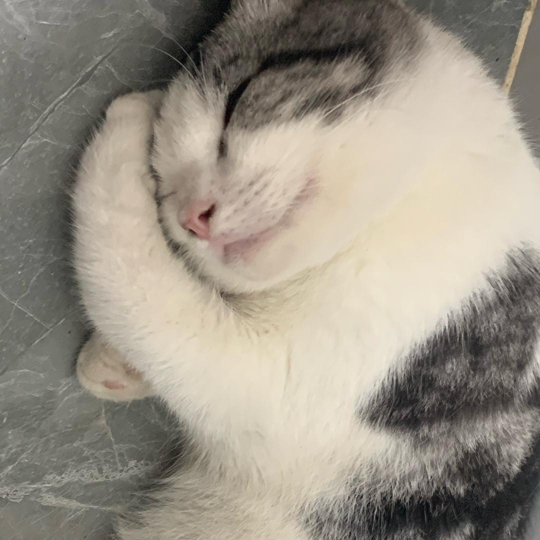 你猜我是谁