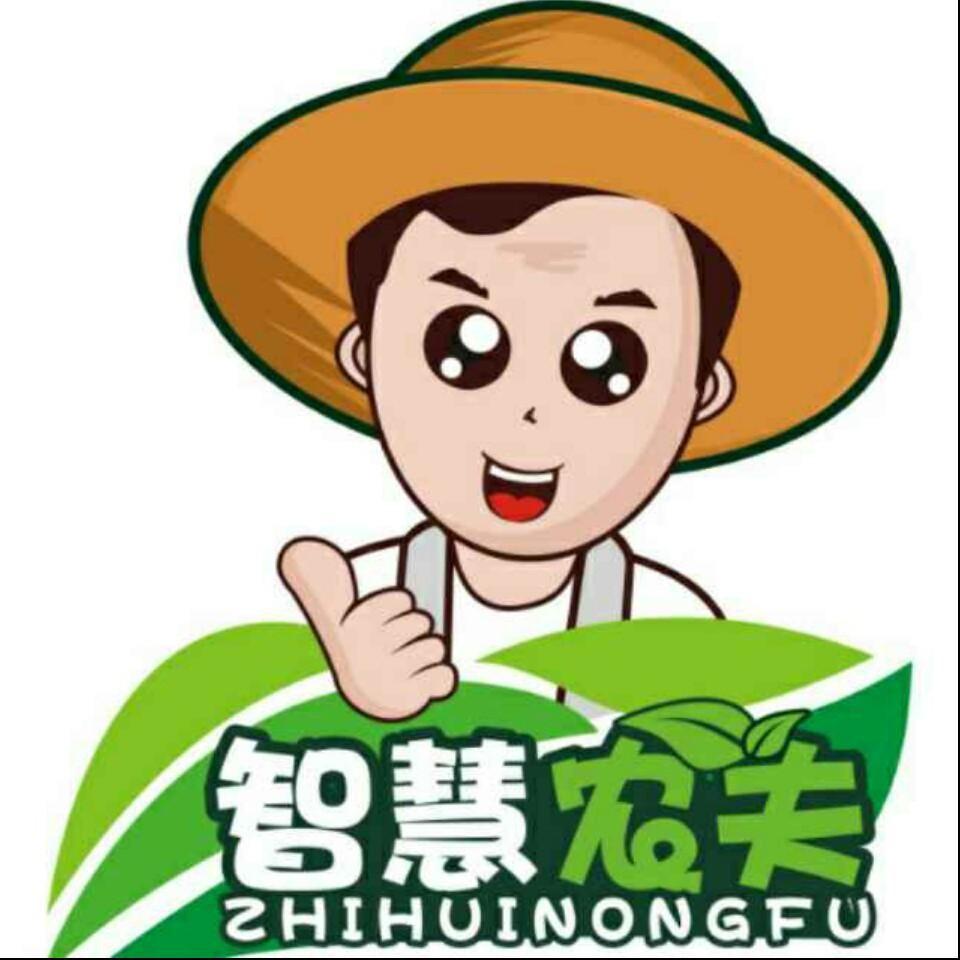 凯蒂好物分享🎀