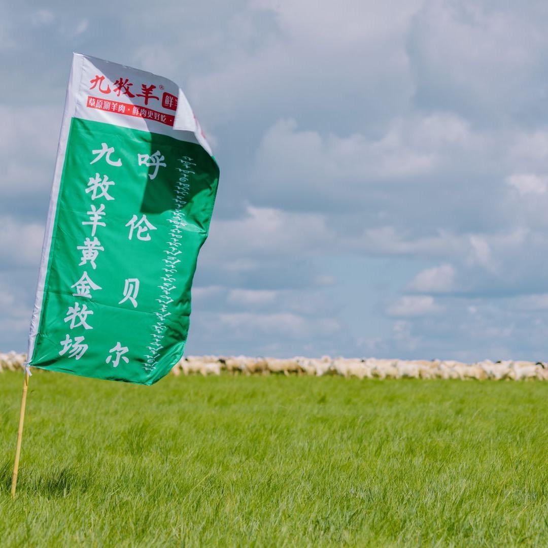 海拉尔区九牧羊鲜羊火锅