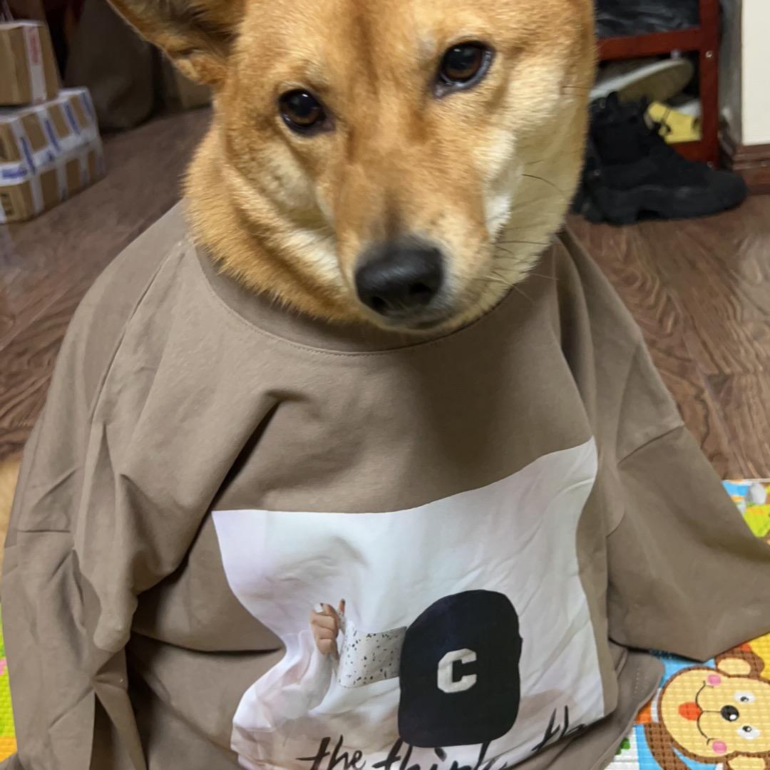 一丢丢，丢了