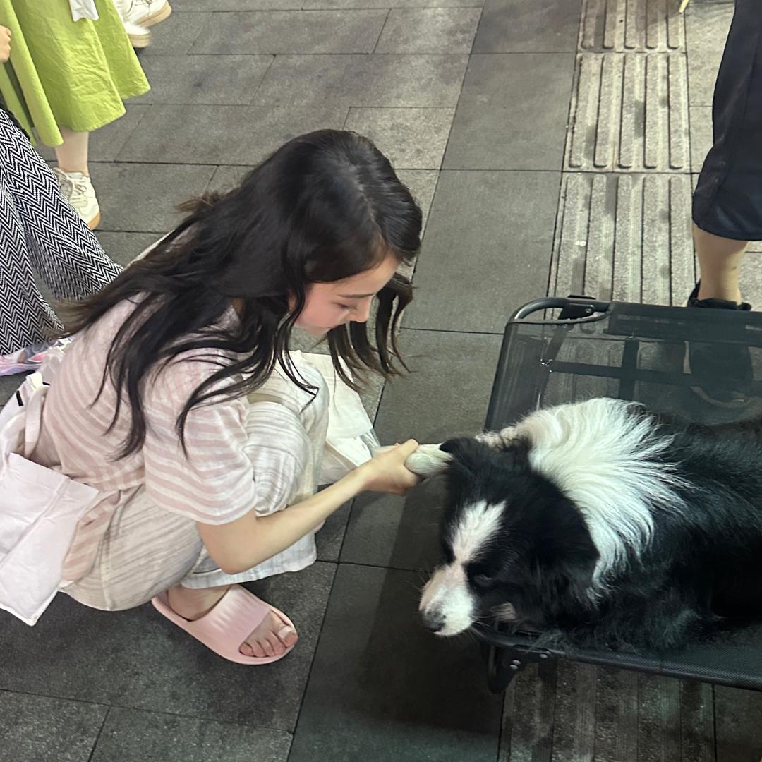 梅子酱