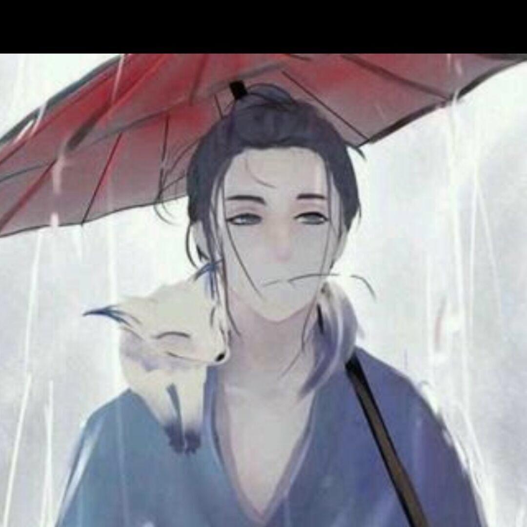 瞌睡😴海豚