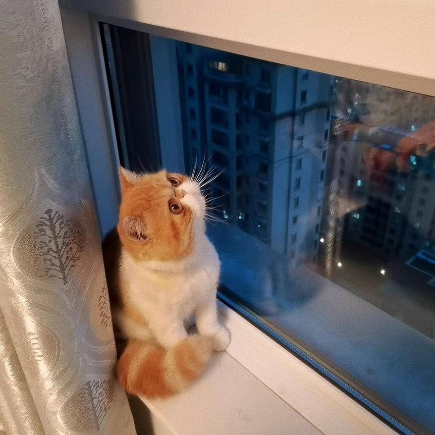 不钓鱼就郁闷的卡弟