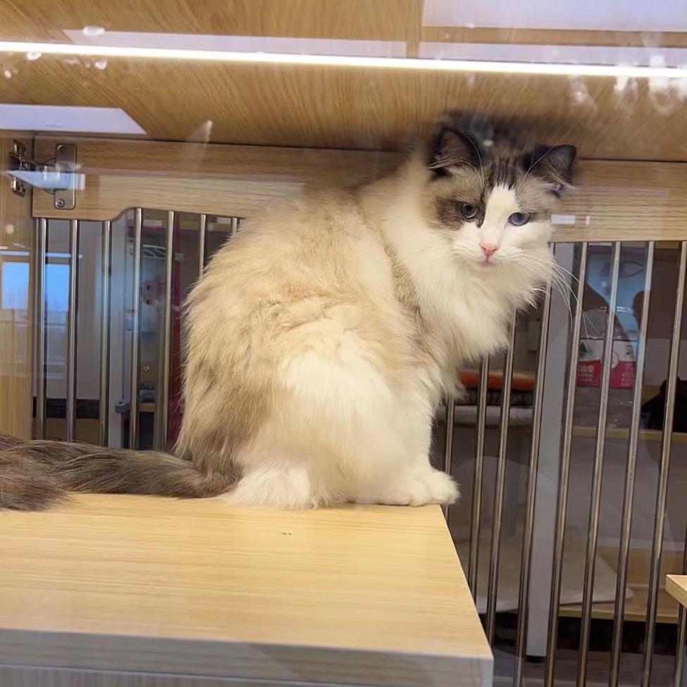 上班爱摸于先生