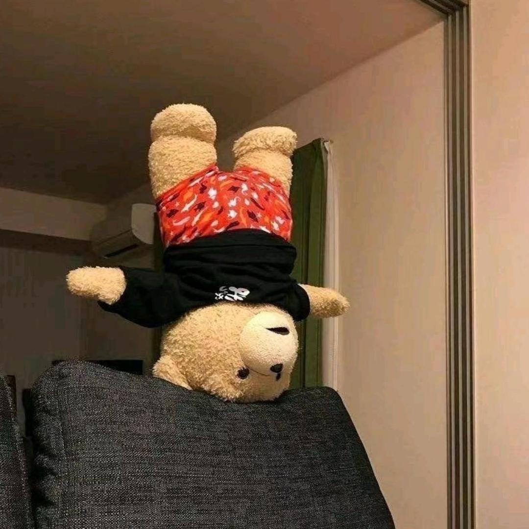 两只ʕ̯•͡˔•̯᷅ʔ