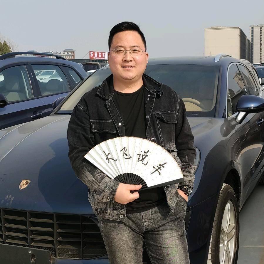 大飞淘车