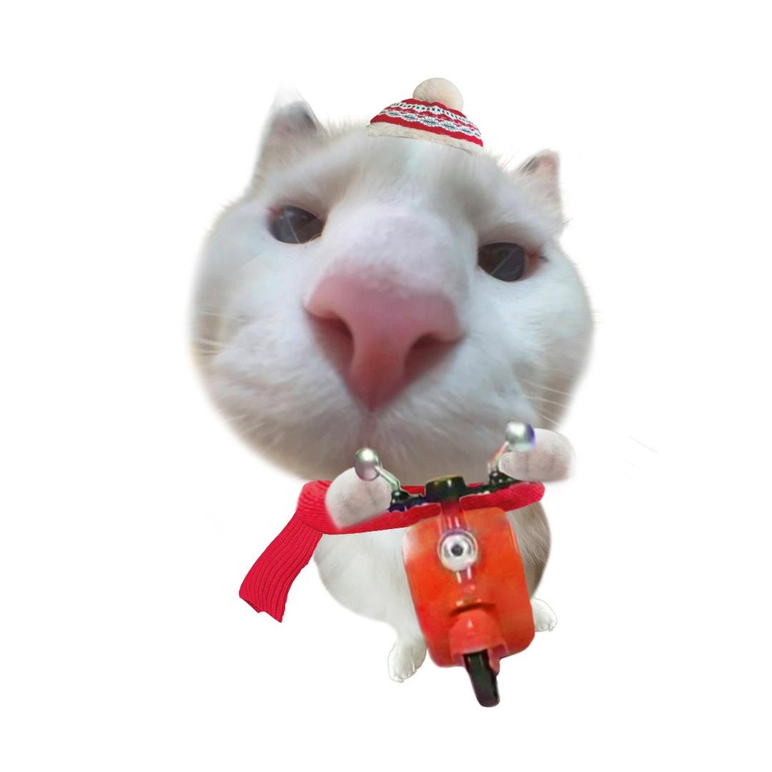 爱吃大米