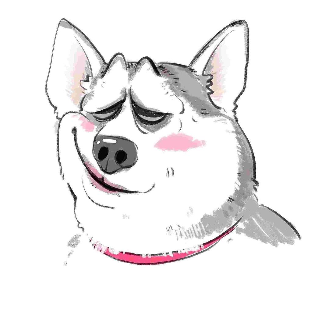 述说🐼
