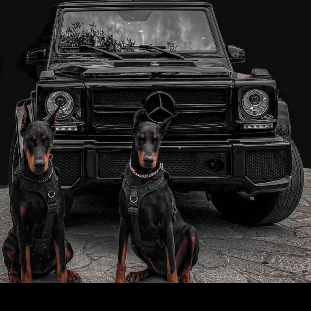 三岔口的男人🥇