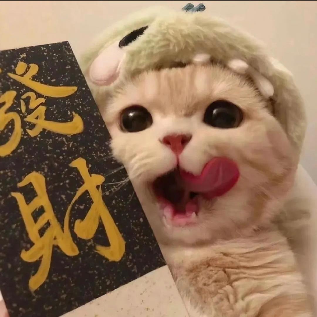 鱼呀鱼🐟
