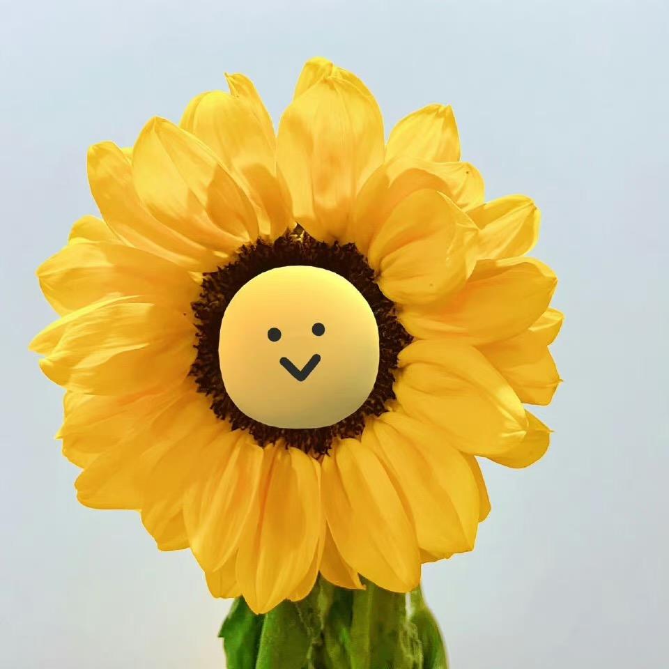 花儿对我笑🎈
