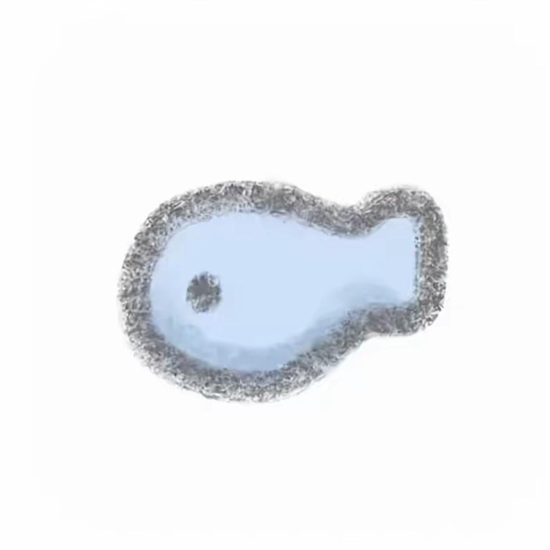 俞小皖