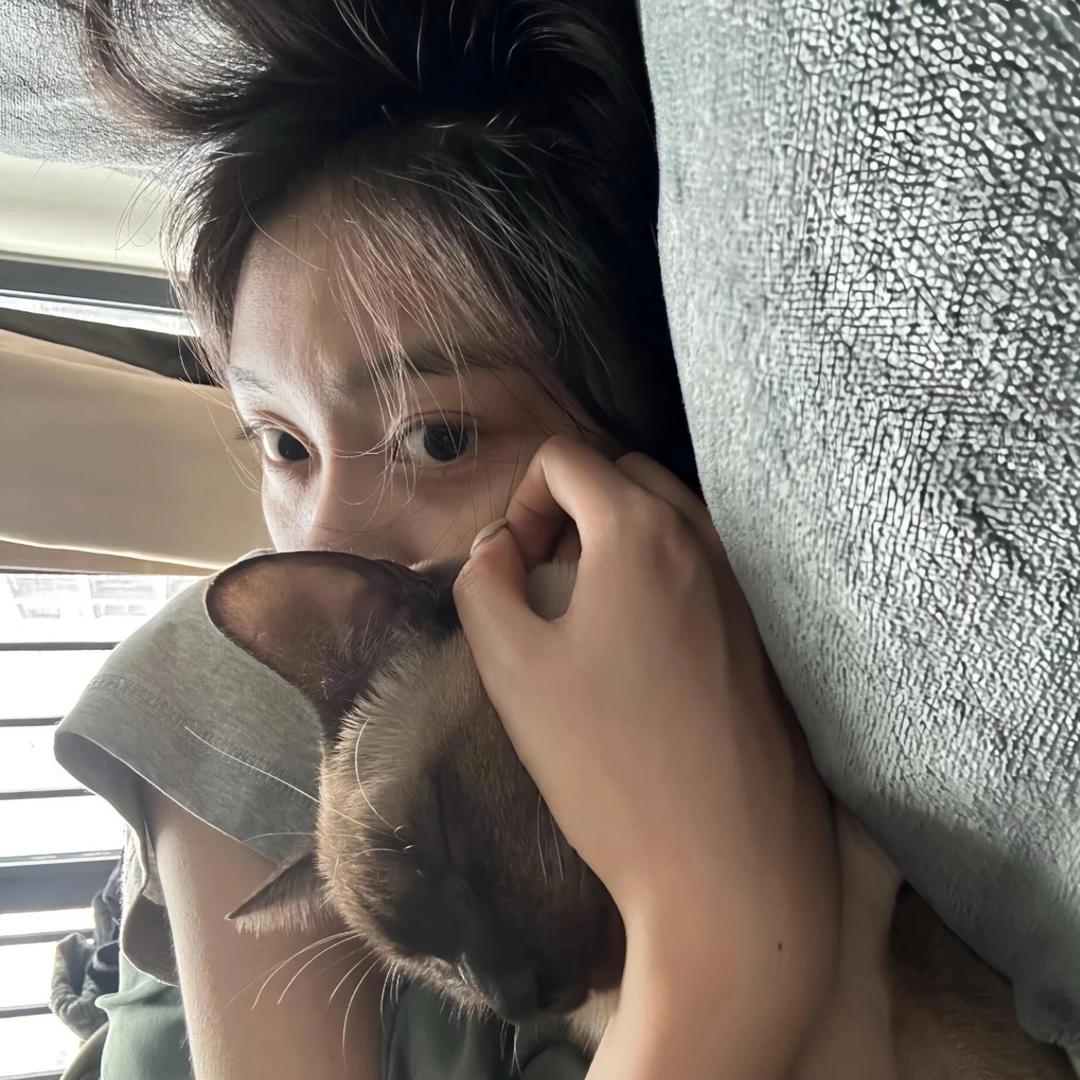 九亿少男的噩梦